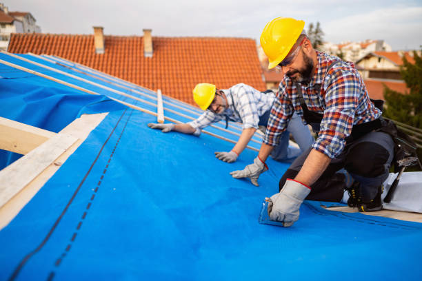 Best Sheet Metal Roofing  in Staunton, IL